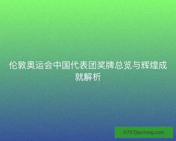 伦敦奥运会中国代表团奖牌总览与辉煌成就解析